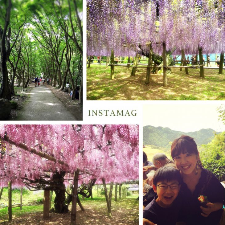 写真 2016-05-06 11 43 37