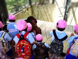 写真 2016-05-18 11 52 02